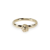 King Protea Pod Ring - 9ct Yellow Gold